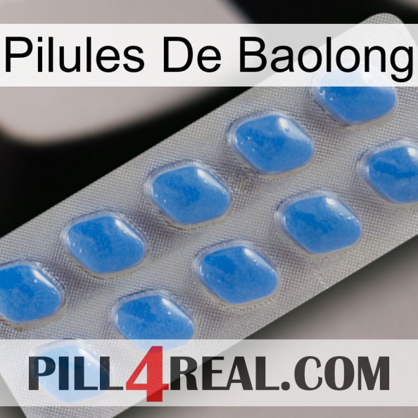 Baolong Pills 22.jpg